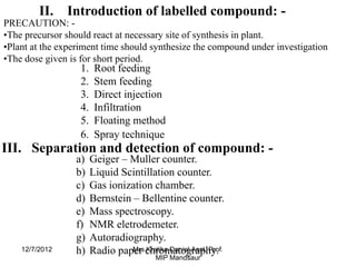 II. Introduction of labelled compound: -
PRECAUTION: -
•The precursor should react at necessary site of synthesis in plant.
•Plant at the experiment time should synthesize the compound under investigation
•The dose given is for short period.
                   1.    Root feeding
                   2.    Stem feeding
                   3.    Direct injection
                   4.    Infiltration
                   5.    Floating method
                   6.    Spray technique
III. Separation and detection of compound: -
                 a)     Geiger – Muller counter.
                 b)     Liquid Scintillation counter.
                 c)     Gas ionization chamber.
                 d)     Bernstein – Bellentine counter.
                 e)     Mass spectroscopy.
                 f)     NMR eletrodemeter.
                 g)     Autoradiography.
    12/7/2012    h)     Radio paper chromatography.
                                  Mrs Kratika Daniel,Asst. Prof.
                                           MIP Mandsaur
 