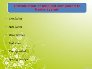 Introduction of labelled compound to
tissue system
• Root feeding
• Stem feeding
• Direct injection
• Infiltration
• Floating method
• Spraying technique
 