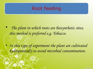 Root feeding
• The plant in which roots are biosynthetic sites;
this method is preferred e.g. Tobacco.
• In this type of experiment the plant are cultivated
hydroponically to avoid microbial contamination.
 