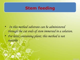 Stem feeding
• In this method substrate can be administered
through the cut ends of stem immersed in a solution.
• For latex containing plant; this method is not
suitable
 