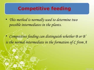 Competitive feeding
• This method is normally used to determine two
possible intermediates in the plants.
• Competitive feeding can distinguish whether B or B’
is the normal intermediate in the formation of C from A
 