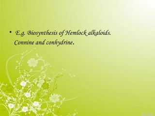 • E.g. Biosynthesis of Hemlock alkaloids.
Connine and conhydrine.
 