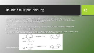 Double & multiple labelling
This method give the evidence for nature of biochemical incorporation of precursor arises
double & triple labelling. In this method specifically labelled precursor and their subsequent
degradation of recover product are more employed.
Application :-
• This method is extensively applied to study the biogenesis of plant secondary metabolite.
• Used for study of morphine alkaloid.
E.g. Leete, use Doubly labelled lysine used to determine which hydrogen of lysine molecule was
involved in formation of piperidine ring of anabasine in Nicotina glauca.
Himanshu Upadhyay (MSc. Clinical Biochemist.)
12
 