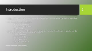 Introduction
• Living plants considered as the biosynthetic laboratory primary as well as secondary
metabolites.
• Different biosynthetic pathway :-
- Shikmic acid pathway
- Mevalonic acid pathway
- Acetate pathway
• Various intermediates and steps are involved in biosynthetic pathway in plants can be
investigated by means of following techniques:-
- Tracer technique
- Use of isolated organ
- Grafting methods
- Use of mutant strain
Himanshu Upadhyay (MSc. Clinical Biochemist.)
2
 