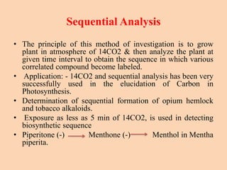 Sequential Analysis
• The principle of this method of investigation is to grow
plant in atmosphere of 14CO2 & then analyze the plant at
given time interval to obtain the sequence in which various
correlated compound become labeled.
• Application: - 14CO2 and sequential analysis has been very
successfully used in the elucidation of Carbon in
Photosynthesis.
• Determination of sequential formation of opium hemlock
and tobacco alkaloids.
• Exposure as less as 5 min of 14CO2, is used in detecting
biosynthetic sequence
• Piperitone (-) Menthone (-) Menthol in Mentha
piperita.
 