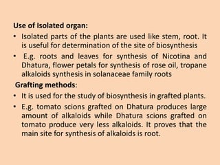 Use of Isolated organ:
• Isolated parts of the plants are used like stem, root. It
is useful for determination of the site of biosynthesis
• E.g. roots and leaves for synthesis of Nicotina and
Dhatura, flower petals for synthesis of rose oil, tropane
alkaloids synthesis in solanaceae family roots
Grafting methods:
• It is used for the study of biosynthesis in grafted plants.
• E.g. tomato scions grafted on Dhatura produces large
amount of alkaloids while Dhatura scions grafted on
tomato produce very less alkaloids. It proves that the
main site for synthesis of alkaloids is root.
 
