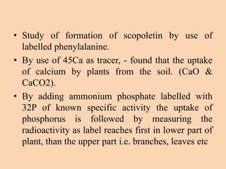 • Study of formation of scopoletin by use of
labelled phenylalanine.
• By use of 45Ca as tracer, - found that the uptake
of calcium by plants from the soil. (CaO &
CaCO2).
• By adding ammonium phosphate labelled with
32P of known specific activity the uptake of
phosphorus is followed by measuring the
radioactivity as label reaches first in lower part of
plant, than the upper part i.e. branches, leaves etc
 