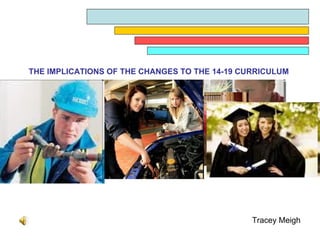 Tracey Meigh THE IMPLICATIONS OF THE CHANGES TO THE 14-19 CURRICULUM 