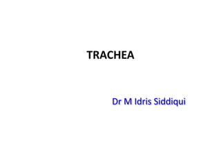 TRACHEA
Dr M Idris Siddiqui
 