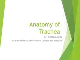 Anatomy of
Trachea
By- CHIRAG AJMERA
Assistant Professor, MJF Group of Colleges and Hospitals
 