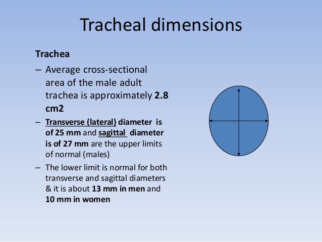 Tracheal pathologies