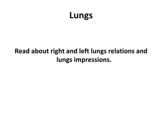 LungsRead about right and left lungs relations and  lungs impressions.
