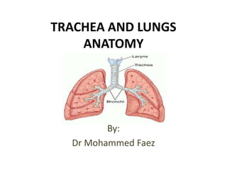 TRACHEA AND LUNGS ANATOMY By: Dr Mohammed Faez 