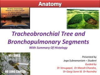 Presented by
Jega Subramaniam – Student
Guided by
Dr Venugopal, Dr Manah Chandra,
Dr Gargi Sonni & Dr Ravindra
Tracheobronchial Tree and
Bronchopulmonary Segments
With Summary Of Histology
 