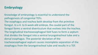 Embryology
Knowledge of embryology is essential to understand the
pathogenesis of congenital TEFs.
The esophagus and trachea both develop from the primitive
foregut. In a 4- to 6-week-old embryo, the caudal part of the
foregut forms a ventral diverticulum that evolves into the trachea.
The longitudinal tracheoesophageal fold fuses to form a septum
that divides the foregut into a ventral laryngotracheal tube and a
dorsal esophagus. The posterior deviation of the
tracheoesophageal septum causes incomplete separation of the
esophagus from the laryngotracheal tube and results in a TEF.
 