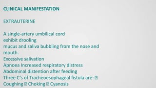 CLINICAL MANIFESTATION
EXTRAUTERINE
A single-artery umbilical cord
exhibit drooling
mucus and saliva bubbling from the nose and
mouth.
Excessive salivation
Apnoea Increased respiratory distress
Abdominal distention after feeding
Three C’s of Tracheoesophageal fistula are:
Coughing Choking Cyanosis
 