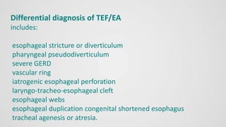 Differential diagnosis of TEF/EA
includes:
esophageal stricture or diverticulum
pharyngeal pseudodiverticulum
severe GERD
vascular ring
iatrogenic esophageal perforation
laryngo-tracheo-esophageal cleft
esophageal webs
esophageal duplication congenital shortened esophagus
tracheal agenesis or atresia.
 