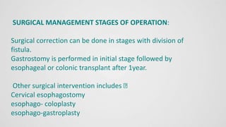 SURGICAL MANAGEMENT STAGES OF OPERATION:
Surgical correction can be done in stages with division of
fistula.
Gastrostomy is performed in initial stage followed by
esophageal or colonic transplant after 1year.
Other surgical intervention includes
Cervical esophagostomy
esophago- coloplasty
esophago-gastroplasty
 
