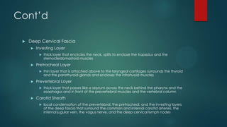 Cont’d


Deep Cervical Fascia


Investing Layer




Pretracheal Layer




thin layer that is attached above to the laryngeal cartilages surrounds the thyroid
and the parathyroid glands and encloses the infrahyoid muscles

Prevertebral Layer




thick layer that encircles the neck, splits to enclose the trapezius and the
sternocleidomastoid muscles

thick layer that passes like a septum across the neck behind the pharynx and the
esophagus and in front of the prevertebral muscles and the vertebral column

Carotid Sheath


local condensation of the prevertebral, the pretracheal, and the investing layers
of the deep fascia that surround the common and internal carotid arteries, the
internal jugular vein, the vagus nerve, and the deep cervical lymph nodes

 
