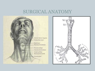 SURGICAL ANATOMY
 