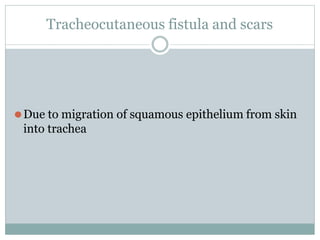 Tracheocutaneous fistula and scars
⚫Due to migration of squamous epithelium from skin
into trachea
 
