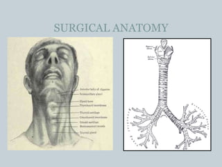SURGICAL ANATOMY
 