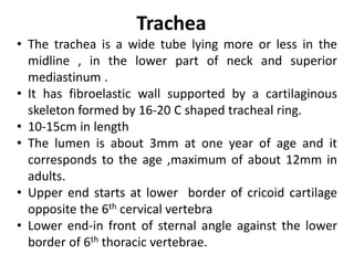 Trachea
• The trachea is a wide tube lying more or less in the
midline , in the lower part of neck and superior
mediastinum .
• It has fibroelastic wall supported by a cartilaginous
skeleton formed by 16-20 C shaped tracheal ring.
• 10-15cm in length
• The lumen is about 3mm at one year of age and it
corresponds to the age ,maximum of about 12mm in
adults.
• Upper end starts at lower border of cricoid cartilage
opposite the 6th cervical vertebra
• Lower end-in front of sternal angle against the lower
border of 6th thoracic vertebrae.
 