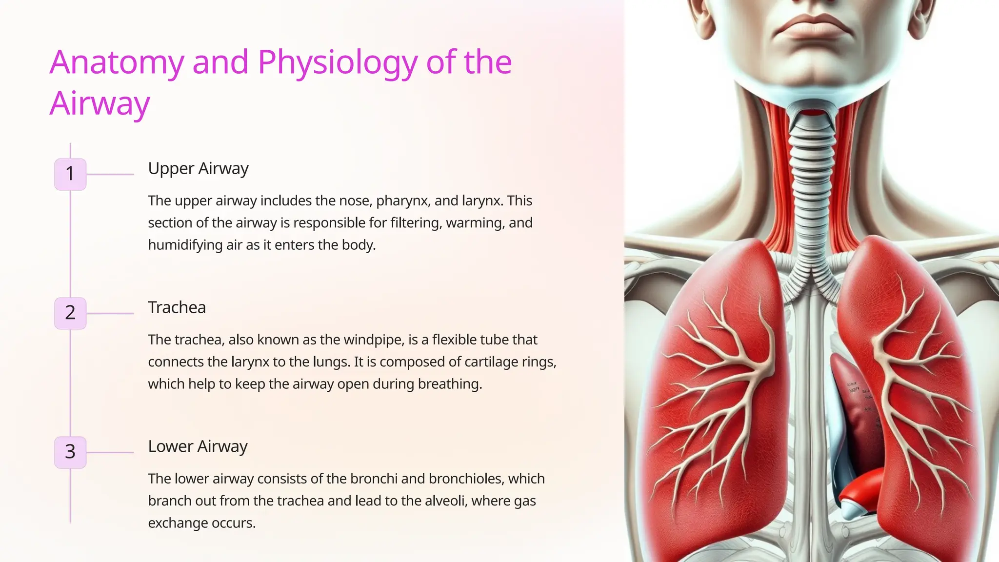The Tracheostomy Powerpointpresentations Pptx The Tracheostomy Powerpointpresentations Pptx