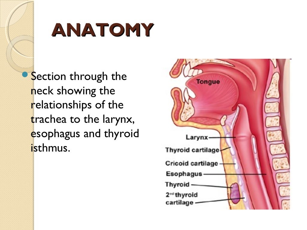 Tracheostomy a