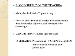  BLOOD SUPPLY OF THE TRACHEA
 Mainly by the Inferior Thyroid Artery
 Thoracic end – Bronchial arteries which anastomose
with the Inferior Thyroid A and also supply the
Oesophagus
 VEINS: to Inferior Thyroid venous plexus
• LYMPHATICS: Pretracheal & (R & L) Paratracheal LN
Inferior tracheobronchial ‘sub-
carinal’nodes
 