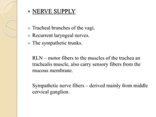  NERVE SUPPLY
 Tracheal branches of the vagi.
 Recurrent laryngeal nerves.
 The sympathetic trunks.
RLN – motor fibers to the muscles of the trachea an
trachealis muscle, also carry sensory fibers from the
mucous membrane.
Sympathetic nerve fibers – derived mainly from middle
cervical ganglion.
 