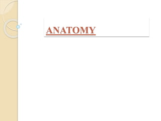ANATOMY
 