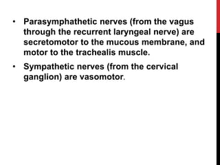 • Parasymphathetic nerves (from the vagus
through the recurrent laryngeal nerve) are
secretomotor to the mucous membrane, and
motor to the trachealis muscle.
• Sympathetic nerves (from the cervical
ganglion) are vasomotor.
 