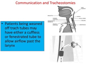 • Patients being weaned
off trach tubes may
have either a cuffless
or fenestrated tube to
allow airflow past the
larynx
Communication and Tracheostomies
 