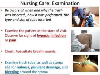 • Be aware of when and why the trach
was inserted , how it was performed, the
type and size of tube inserted
• Examine the patient at the start of visit.
Observe for signs of hypoxia, infection
or pain
• Chest: Auscultate breath sounds
• Examine trach tube, as well as stoma
site for redness, purulent drainage, and
bleeding around the stoma
Nursing Care: Examination
 