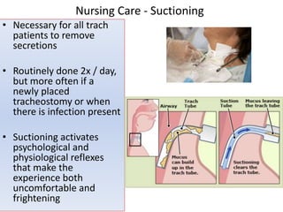 • Necessary for all trach
patients to remove
secretions
• Routinely done 2x / day,
but more often if a
newly placed
tracheostomy or when
there is infection present
• Suctioning activates
psychological and
physiological reflexes
that make the
experience both
uncomfortable and
frightening
Nursing Care - Suctioning
 