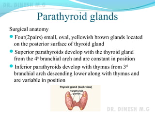 Parathyroid glands
Surgical anatomy
Four(2pairs) small, oval, yellowish brown glands located
on the posterior surface of thyroid gland
Superior parathyroids develop with the thyroid gland
from the 4th
branchial arch and are constant in position
Inferior parathyroids develop with thymus from 3rd
branchial arch descending lower along with thymus and
are variable in position
 