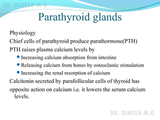 Parathyroid glands
Physiology
Chief cells of parathyroid produce parathormone(PTH)
PTH raises plasma calcium levels by
Increasing calcium absorption from intestine
Releasing calcium from bones by osteoclastic stimulation
Increasing the renal resorption of calcium
Calcitonin secreted by parafollicular cells of thyroid has
opposite action on calcium i.e. it lowers the serum calcium
levels.
 