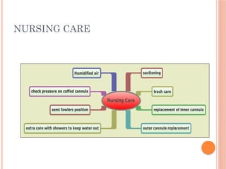 NURSING CARE
 