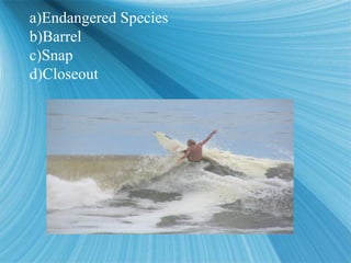 a)Endangered Species
b)Barrel
c)Snap
d)Closeout
a)Endangered Species
b)Barrel
c)Snap
d)Closeout
 