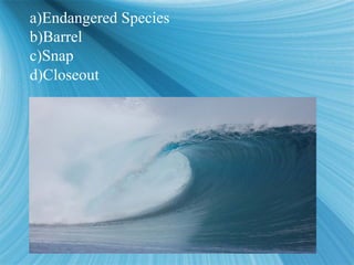 a)Endangered Species
b)Barrel
c)Snap
d)Closeout
a)Endangered Species
b)Barrel
c)Snap
d)Closeout
 