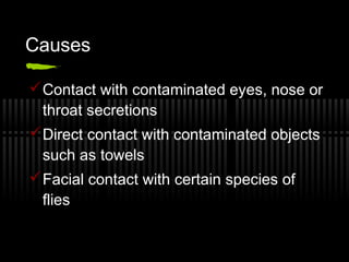 Causes

 Contact with contaminated eyes, nose or
  throat secretions
 Direct contact with contaminated objects
  such as towels
 Facial contact with certain species of
  flies
 