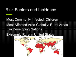 Risk Factors and Incidence

Most Commonly Infected: Children
Most Affected Area Globally: Rural Areas
 in Developing Nations
Extremely Rare in United States
 