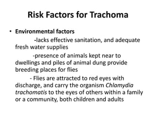 Risk Factors for Trachoma
• Environmental factors
-lacks effective sanitation, and adequate
fresh water supplies
-presence of animals kept near to
dwellings and piles of animal dung provide
breeding places for flies
- Flies are attracted to red eyes with
discharge, and carry the organism Chlamydia
trachomatis to the eyes of others within a family
or a community, both children and adults

 