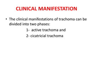 CLINICAL MANIFESTATION
• The clinical manifestations of trachoma can be
divided into two phases:
1- active trachoma and
2- cicatricial trachoma

 