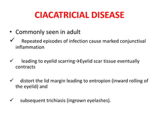 CIACATRICIAL DISEASE
• Commonly seen in adult
 Repeated episodes of infection cause marked conjunctival
inflammation


leading to eyelid scarring→Eyelid scar tissue eventually
contracts



distort the lid margin leading to entropion (inward rolling of
the eyelid) and



subsequent trichiasis (ingrown eyelashes).

 