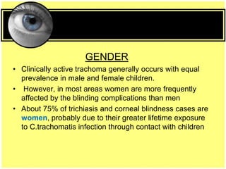 GENDER
• Clinically active trachoma generally occurs with equal
prevalence in male and female children.
• However, in most areas women are more frequently
affected by the blinding complications than men
• About 75% of trichiasis and corneal blindness cases are
women, probably due to their greater lifetime exposure
to C.trachomatis infection through contact with children
 