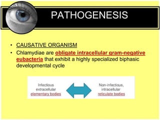 PATHOGENESIS
• CAUSATIVE ORGANISM
• Chlamydiae are obligate intracellular gram-negative
eubacteria that exhibit a highly specialized biphasic
developmental cycle
 