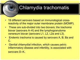 Chlamydia trachomatis
• 19 different serovars based on immunological cross-
reactivity of the major outer membrane protein (MOMP).
• These are sub-divided into two biovars; the trachoma
biovar (serovars A–K) and the lymphogranuloma
venereum biovar (serovars L1, L2, L2a and L3).
• Endemic trachoma is caused by serovars A, B, Ba and
C.
• Genital chlamydial infection, which causes pelvic
inflammatory disease and infertility, is associated with
serovars D–K.
 