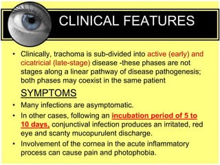 • Clinically, trachoma is sub-divided into active (early) and
cicatricial (late-stage) disease -these phases are not
stages along a linear pathway of disease pathogenesis;
both phases may coexist in the same patient
SYMPTOMS
• Many infections are asymptomatic.
• In other cases, following an incubation period of 5 to
10 days, conjunctival infection produces an irritated, red
eye and scanty mucopurulent discharge.
• Involvement of the cornea in the acute inflammatory
process can cause pain and photophobia.
CLINICAL FEATURES
 